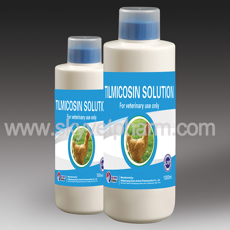 Application Of Tilmicosin Solution