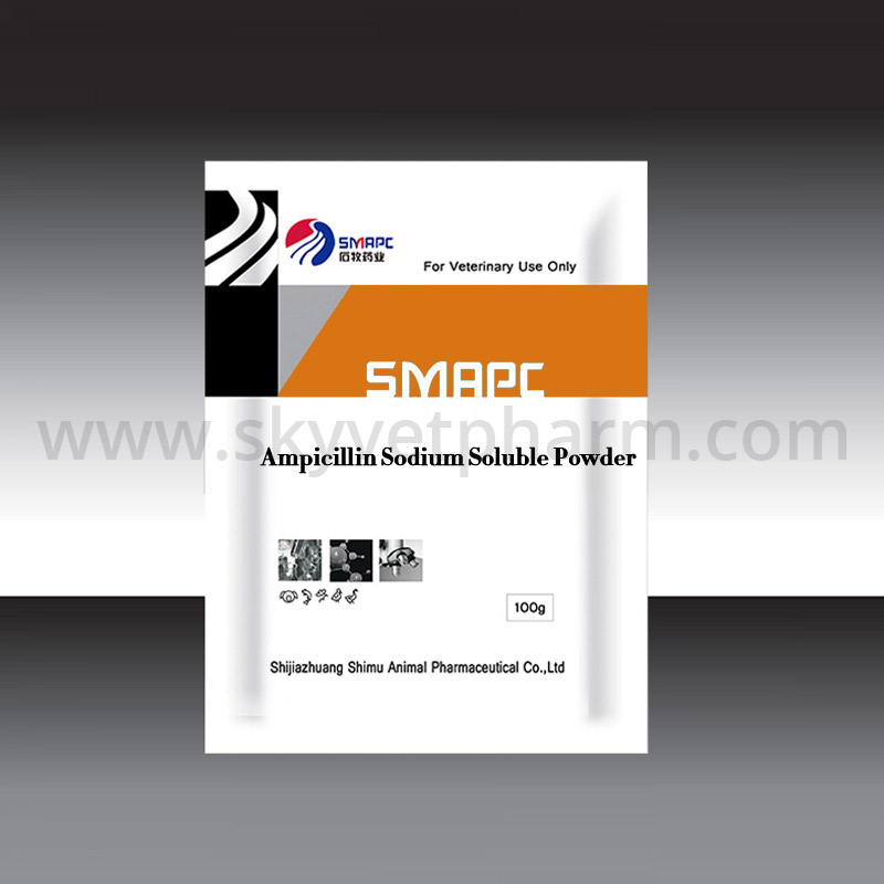 Ampicillin sodium soluble powder