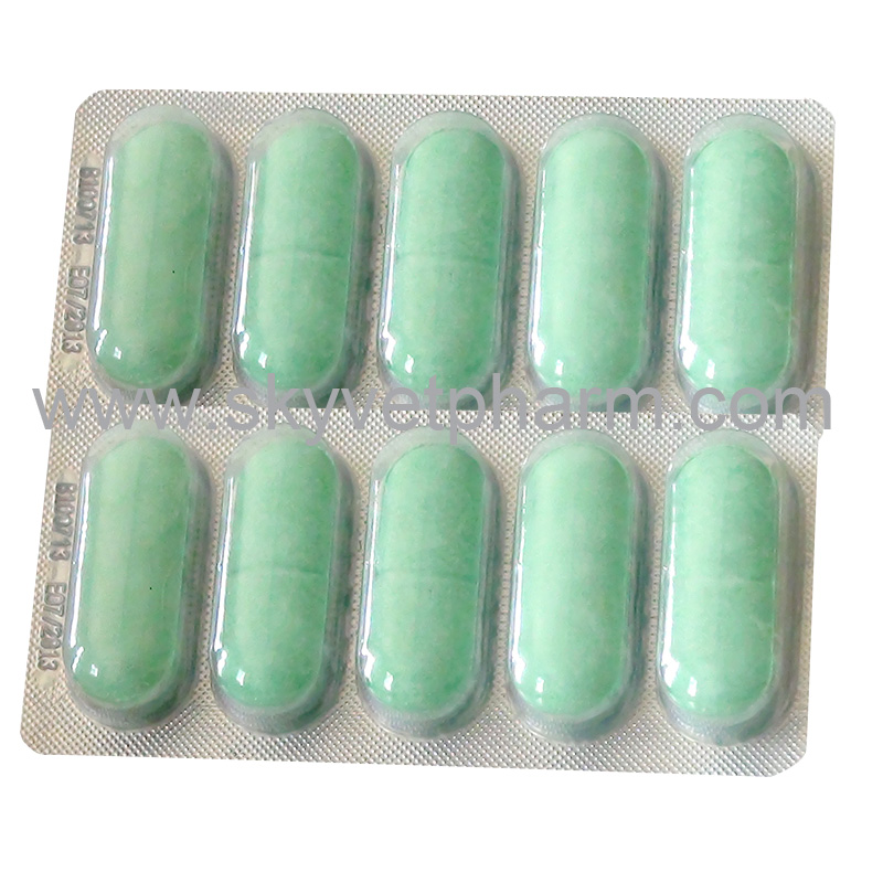 Albendazole oxyclozanide and cobalt tablet bolus