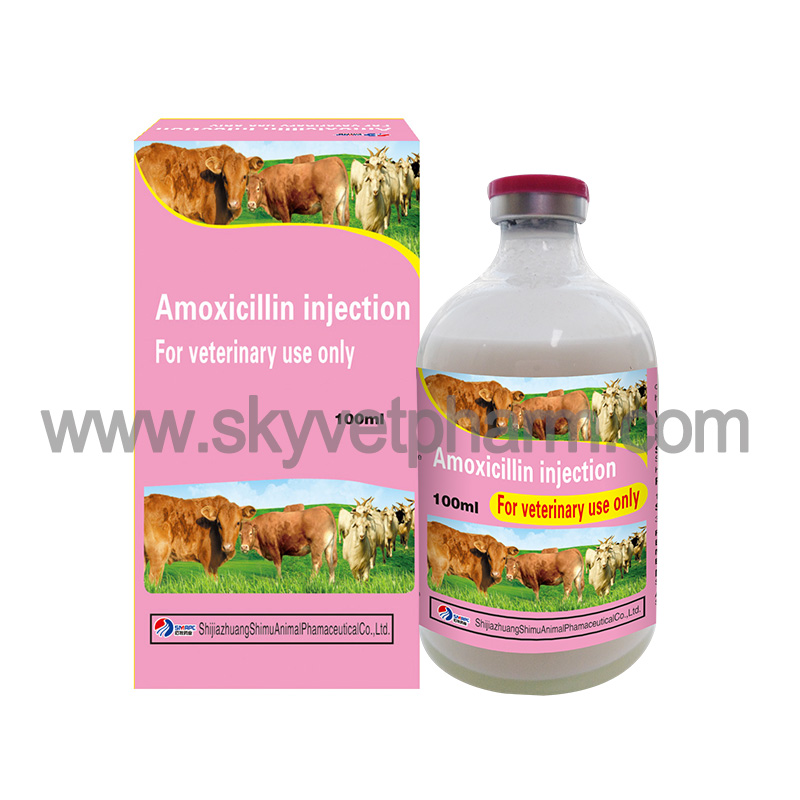Amoxicillin injection