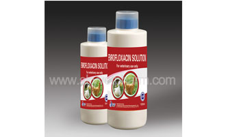 Application Of Enrofloxacin Solution