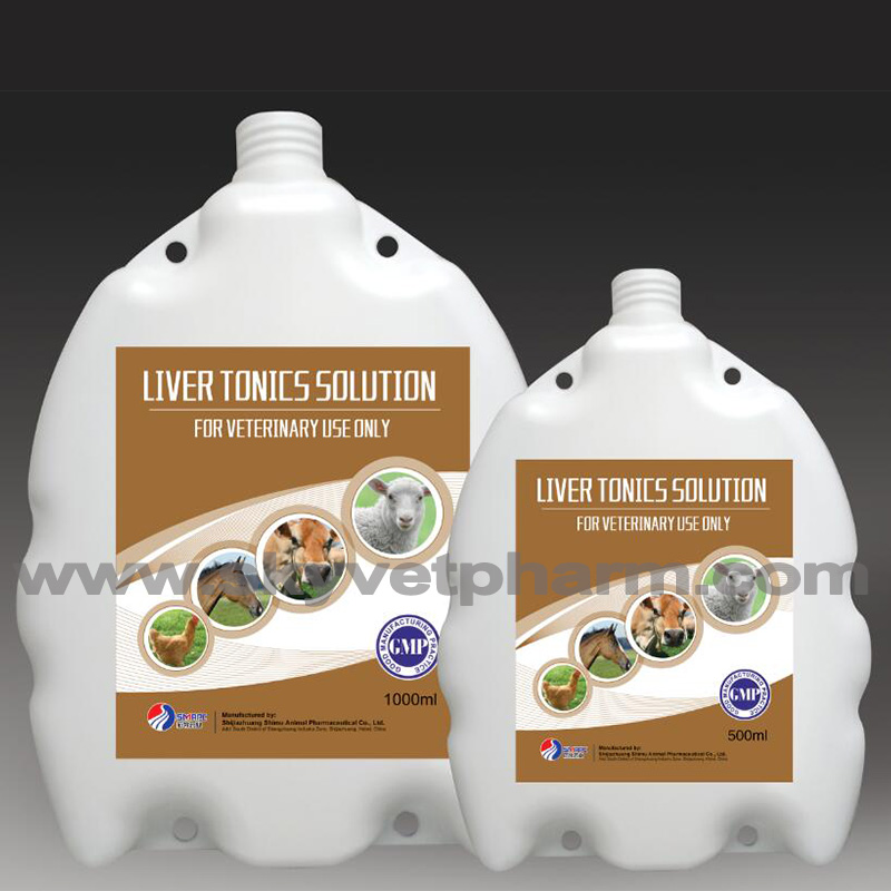 Liver Tonic Solution For Sheep, Goats And Calves Manufacturer China