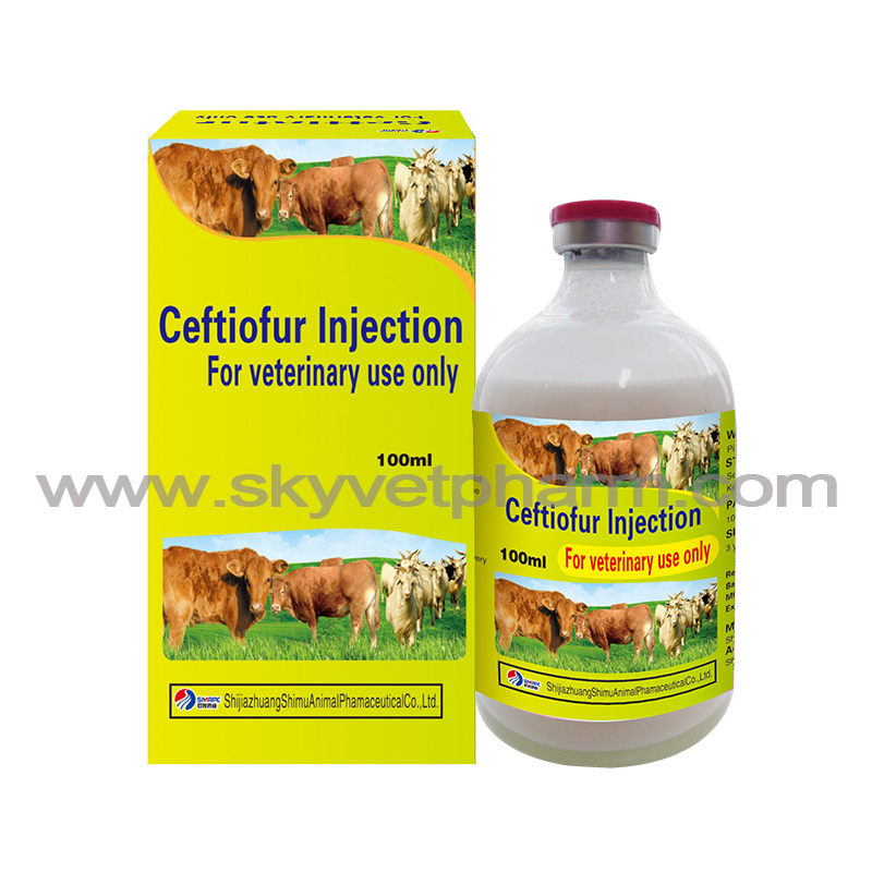 Ceftiofur  Injection