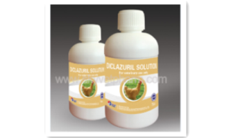 What Are Precautions For Using Diclazuril Solution?