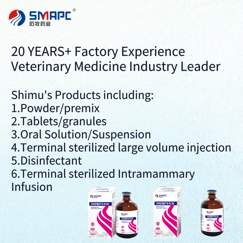 A Comprehensive Guide to Veterinary Antibiotic Injections