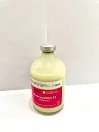 yeast on dog paws treatment