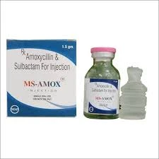 bone and joint supplements for horses