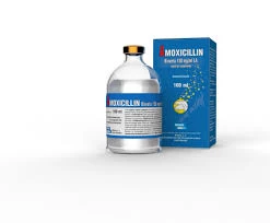worm medicine for dogs