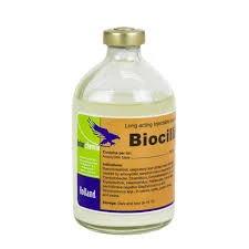 vitamins for dogs with kidney failure