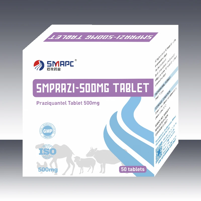 Praziquantel Tablet