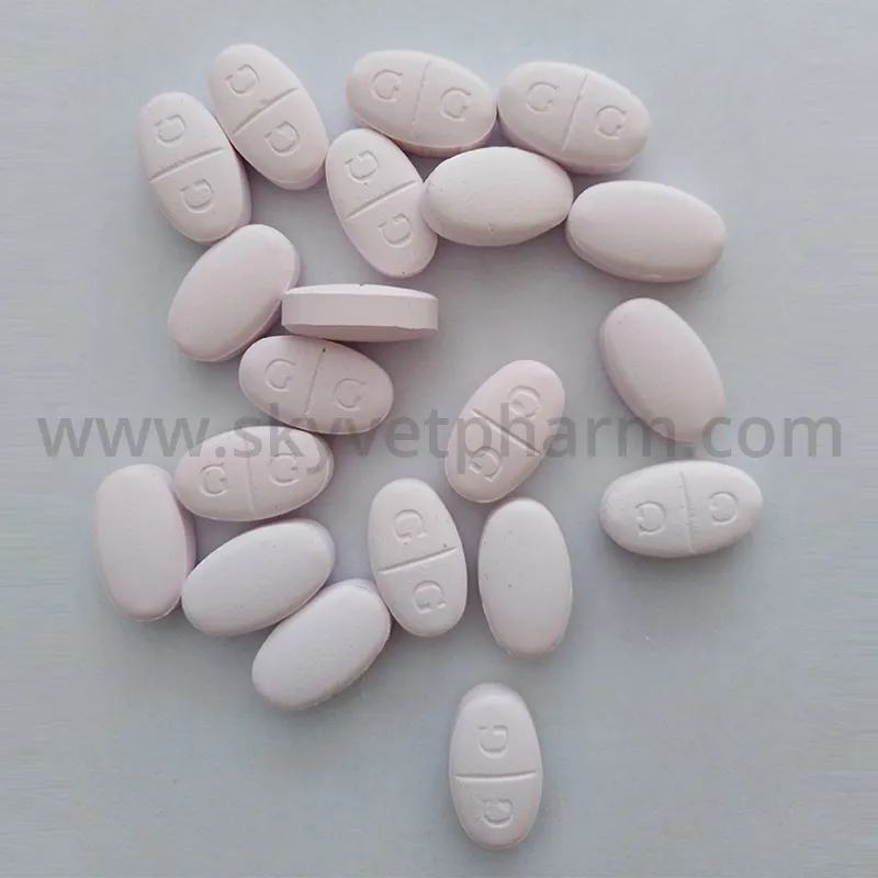 Praziquantel Tablet